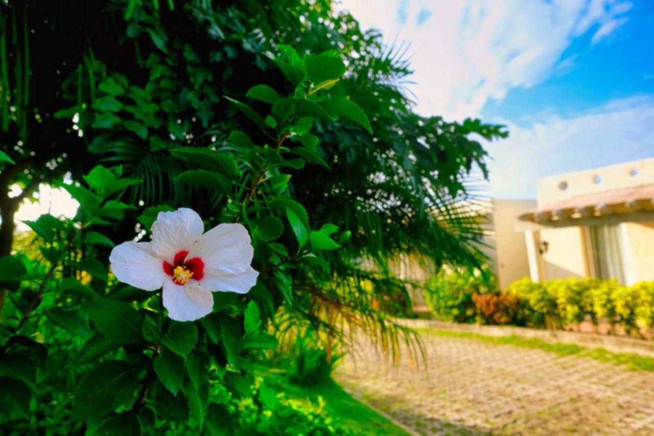 Soffia Hotel Yapak